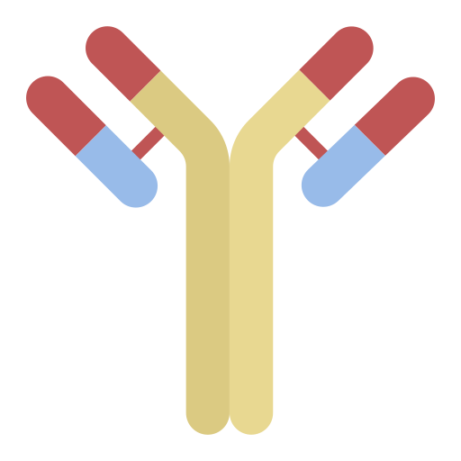Un icon représentant un anticorps